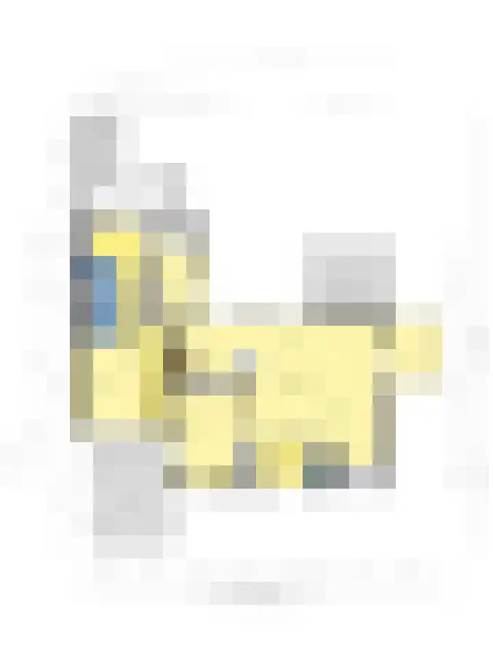 Laan van het Kwekebos 214 Emmen thumbnail 51