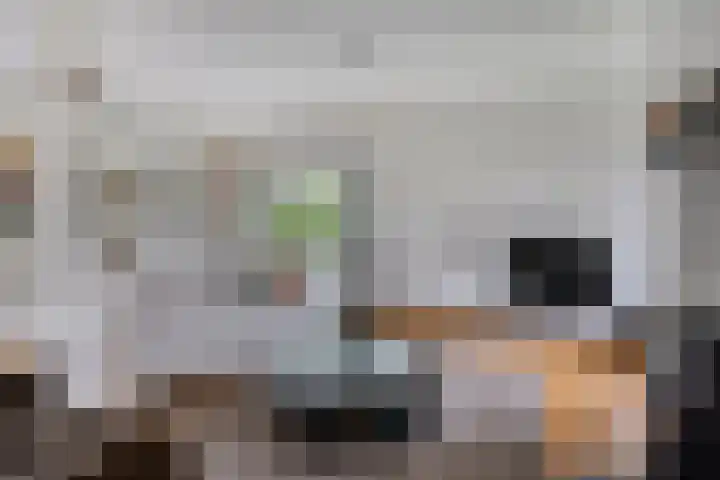 Laan van het Kwekebos 214 Emmen thumbnail 8