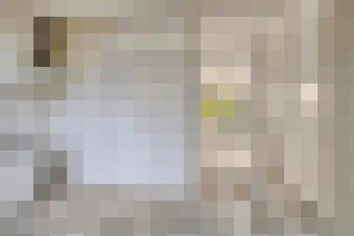 Laan van het Kwekebos 239 Emmen thumbnail 10