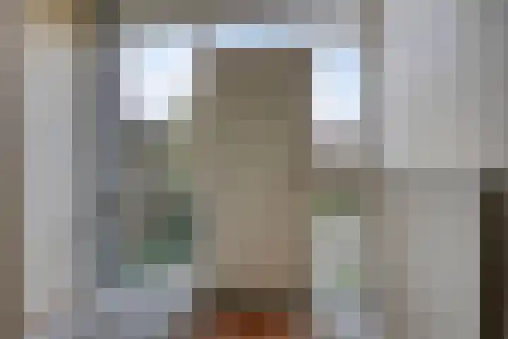 Laan van het Kwekebos 239 Emmen thumbnail 12