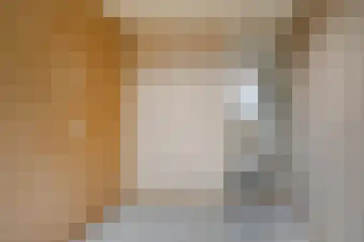 Laan van het Kwekebos 239 Emmen thumbnail 17