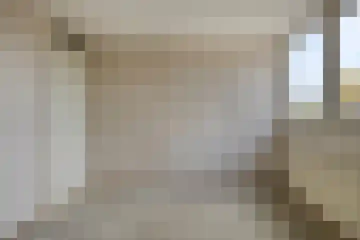 Laan van het Kwekebos 239 Emmen thumbnail 20