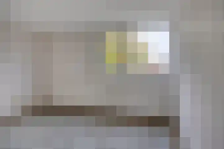 Laan van het Kwekebos 239 Emmen thumbnail 21