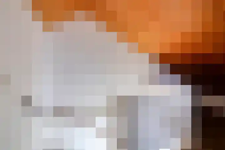 Laan van het Kwekebos 239 Emmen thumbnail 26