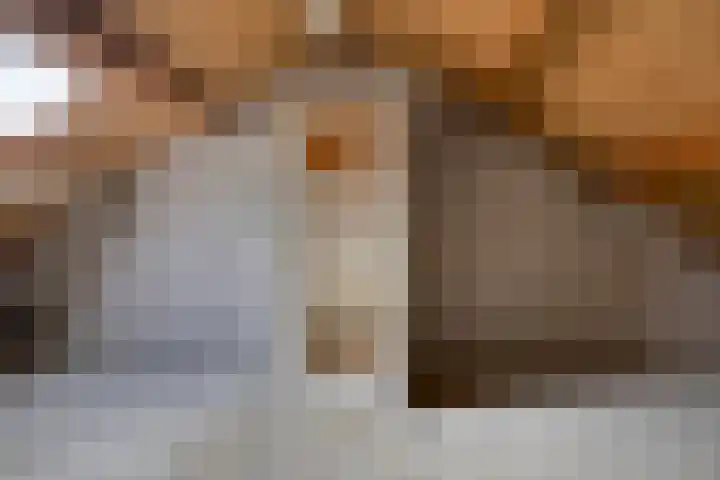 Laan van het Kwekebos 239 Emmen thumbnail 27