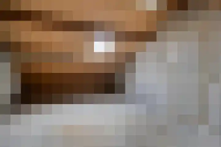 Laan van het Kwekebos 239 Emmen thumbnail 28