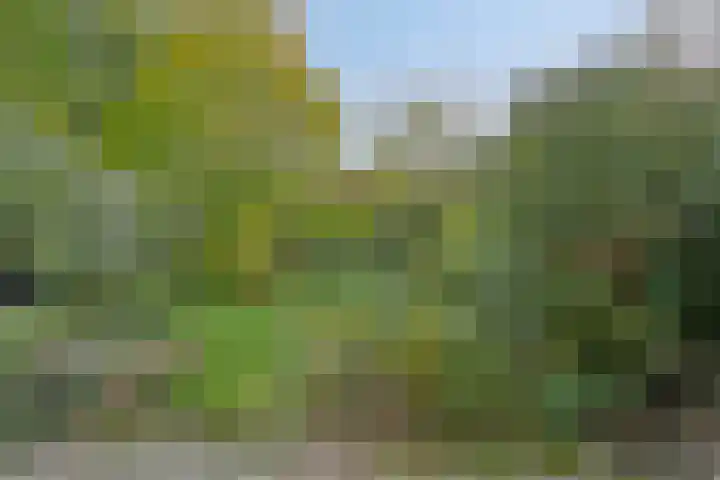 Laan van het Kwekebos 239 Emmen thumbnail 30