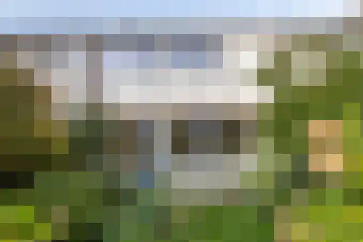 Laan van het Kwekebos 239 Emmen thumbnail 31