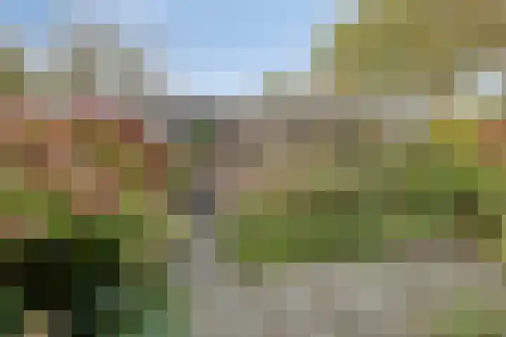Laan van het Kwekebos 239 Emmen thumbnail 32