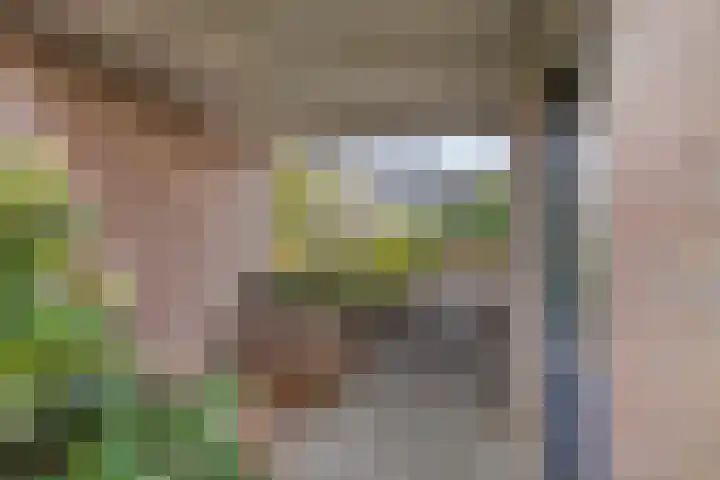 Laan van het Kwekebos 239 Emmen thumbnail 33