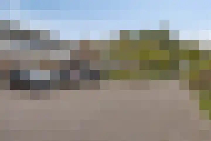 Laan van het Kwekebos 239 Emmen thumbnail 36
