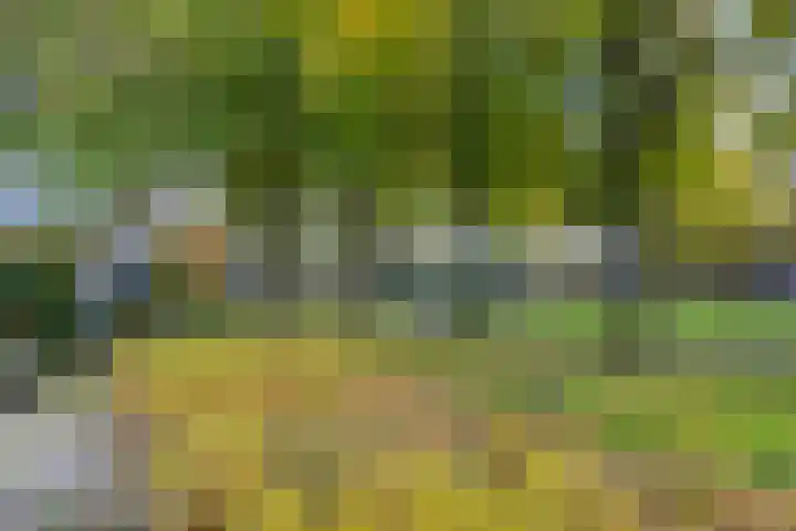 Laan van het Kwekebos 239 Emmen thumbnail 37