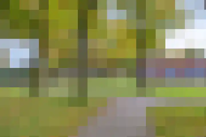 Laan van het Kwekebos 239 Emmen thumbnail 38