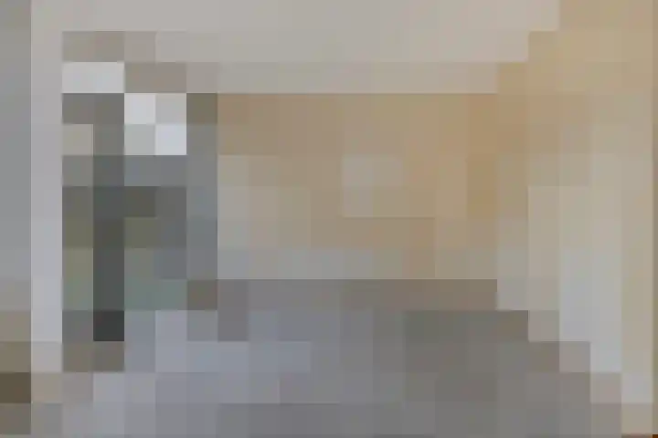 Laan van het Kwekebos 239 Emmen thumbnail 4