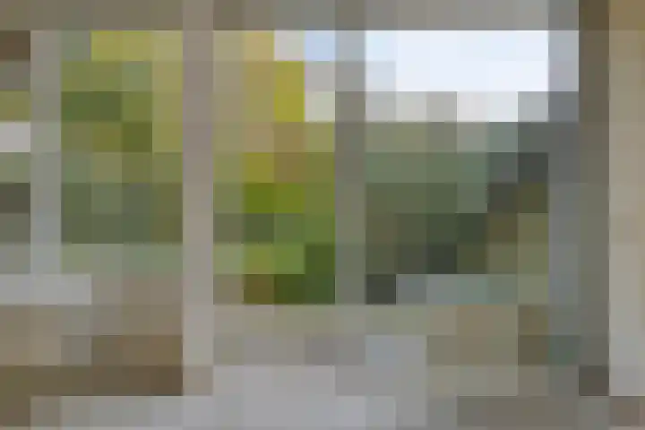 Laan van het Kwekebos 239 Emmen thumbnail 5