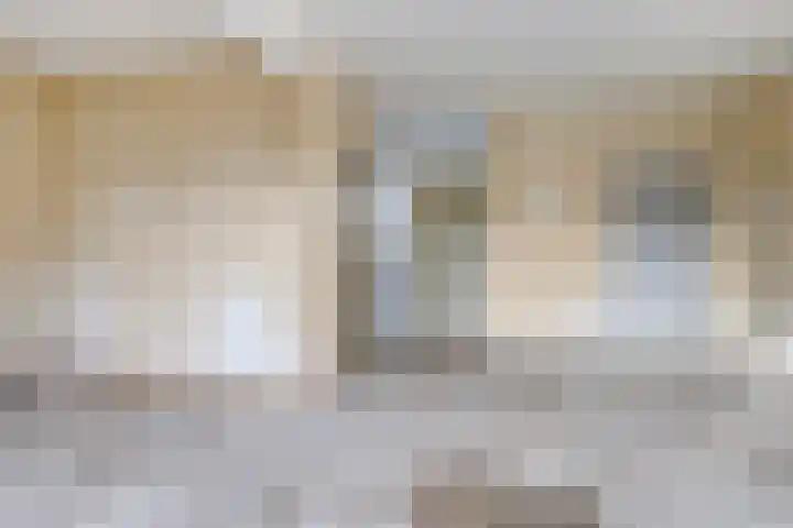 Laan van het Kwekebos 239 Emmen thumbnail 6