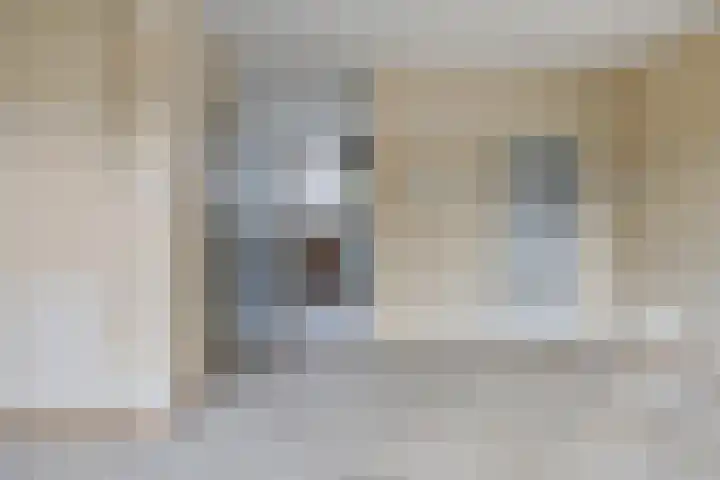Laan van het Kwekebos 239 Emmen thumbnail 7