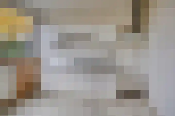 Laan van het Kwekebos 239 Emmen thumbnail 9