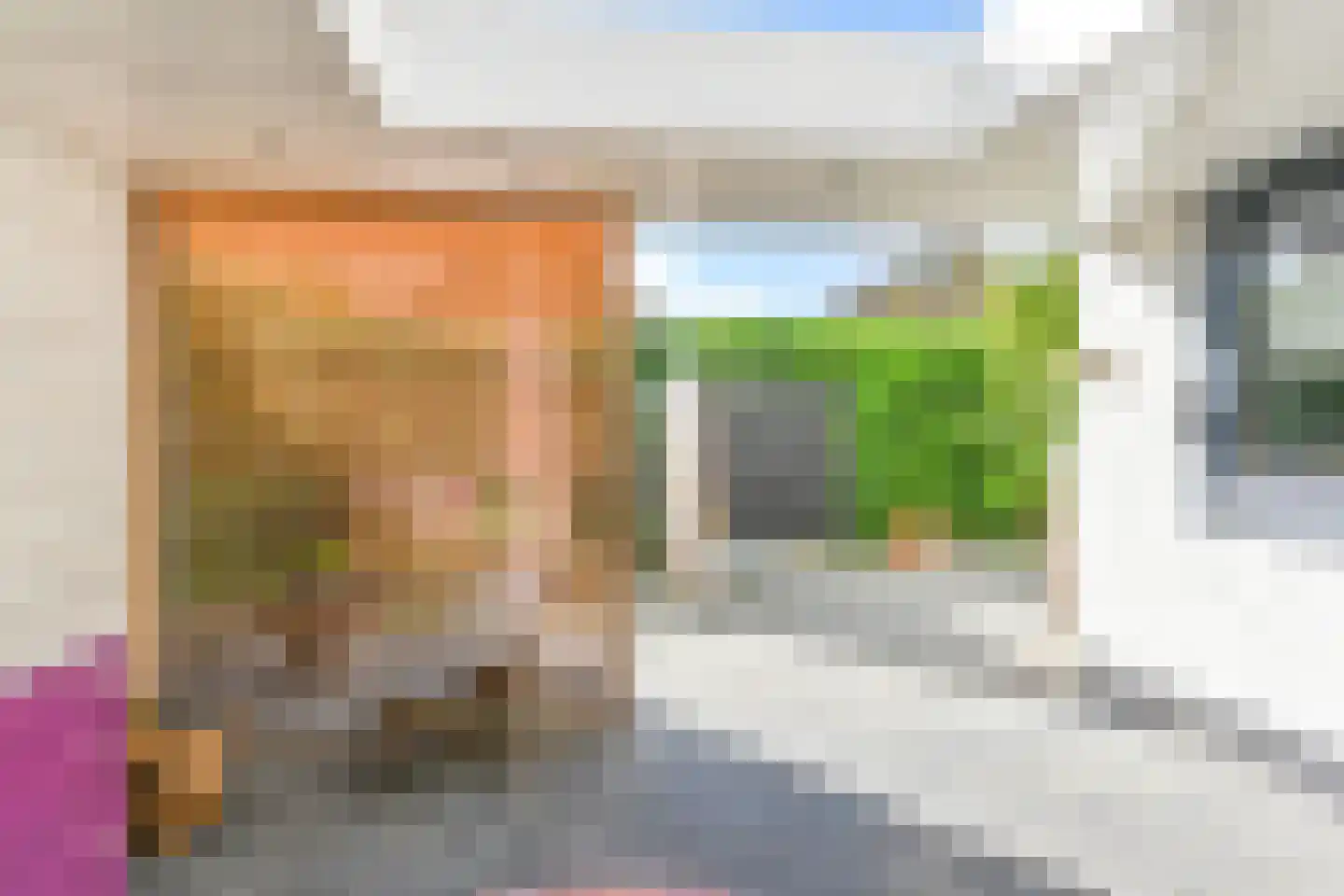 Laan van het Kwekebos 252 Emmen thumbnail 100