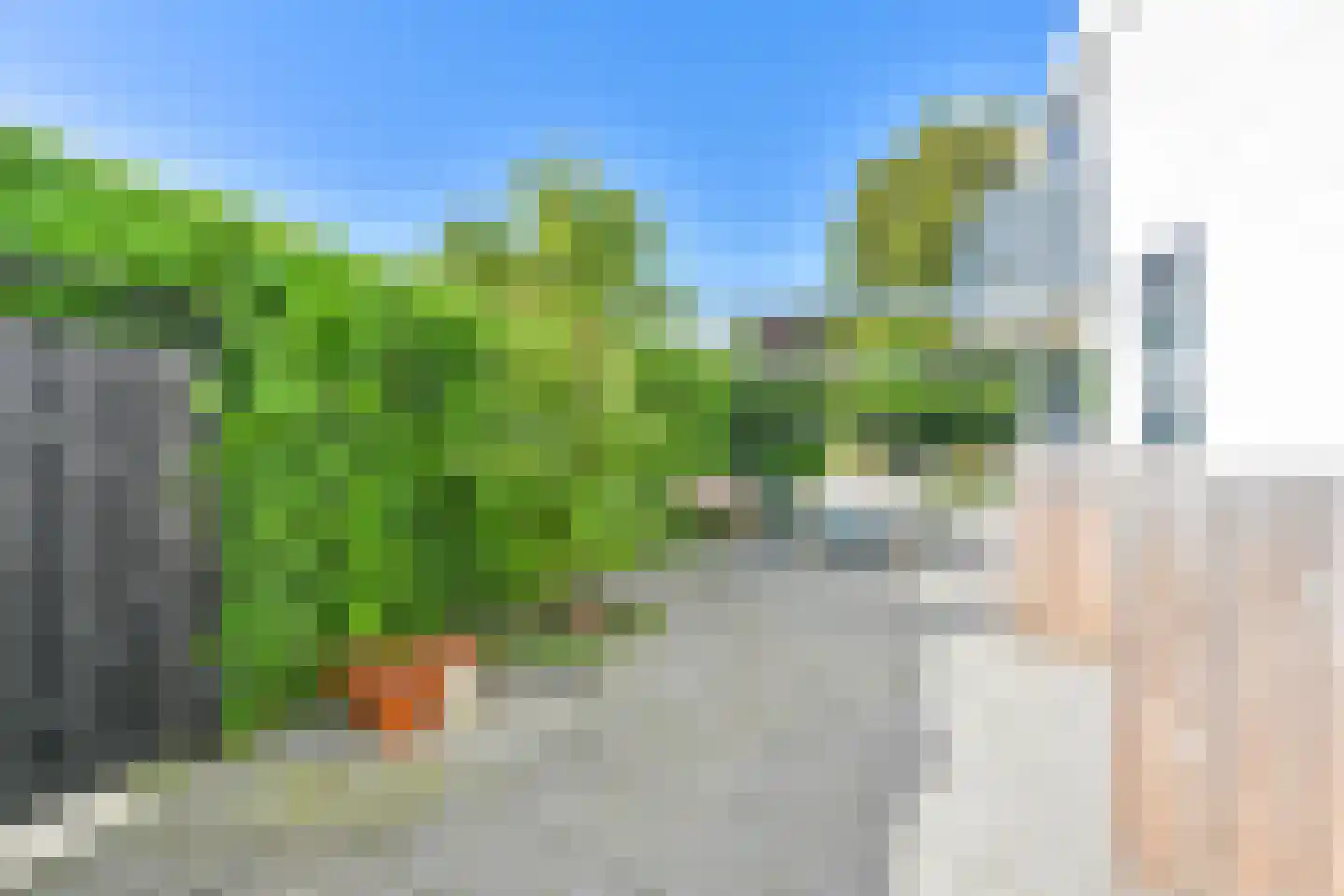 Laan van het Kwekebos 252 Emmen thumbnail 104