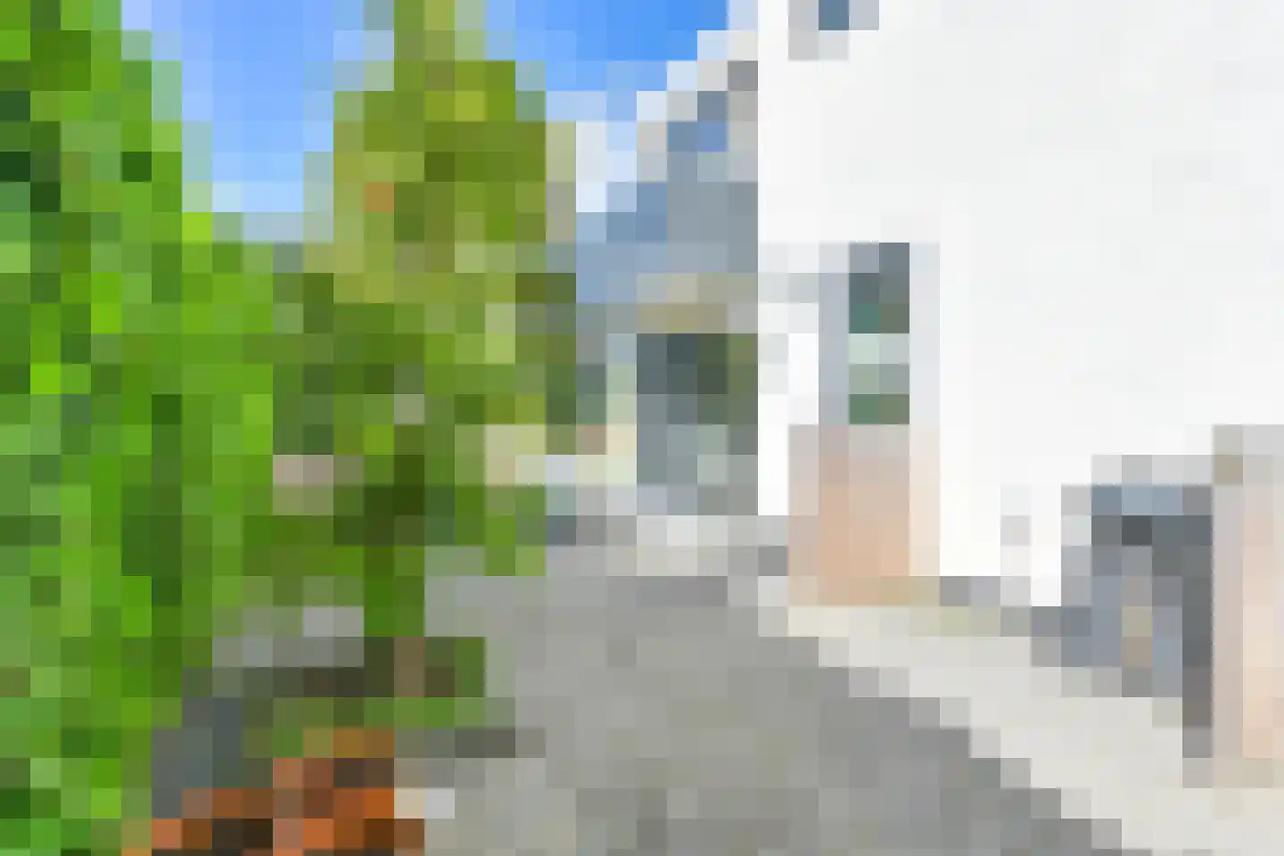 Laan van het Kwekebos 252 Emmen thumbnail 105