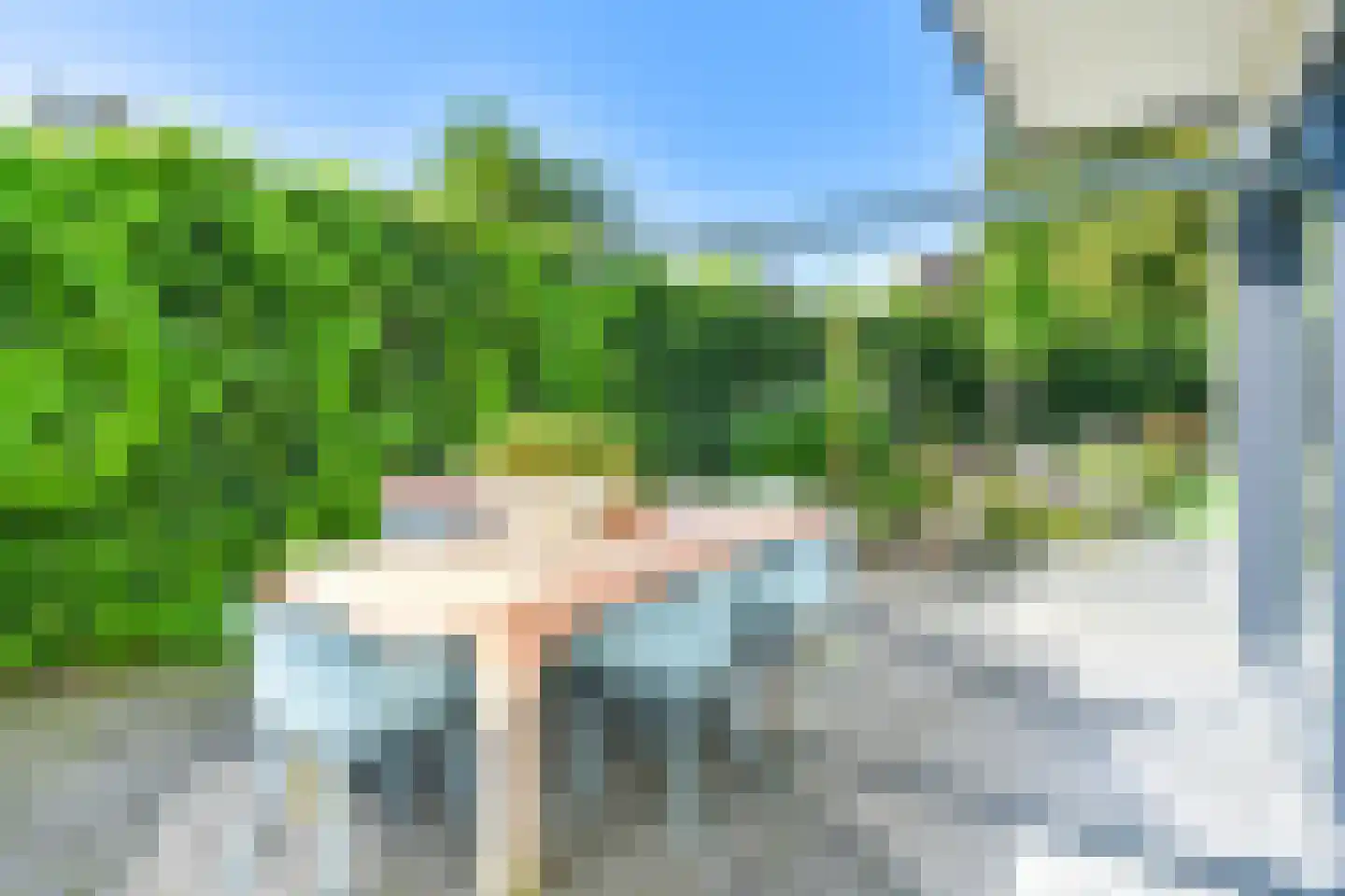 Laan van het Kwekebos 252 Emmen thumbnail 108