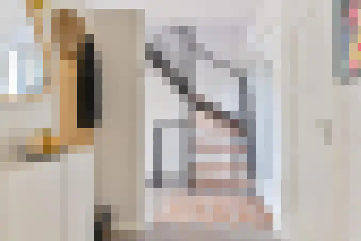 Laan van het Kwekebos 252 Emmen thumbnail 20