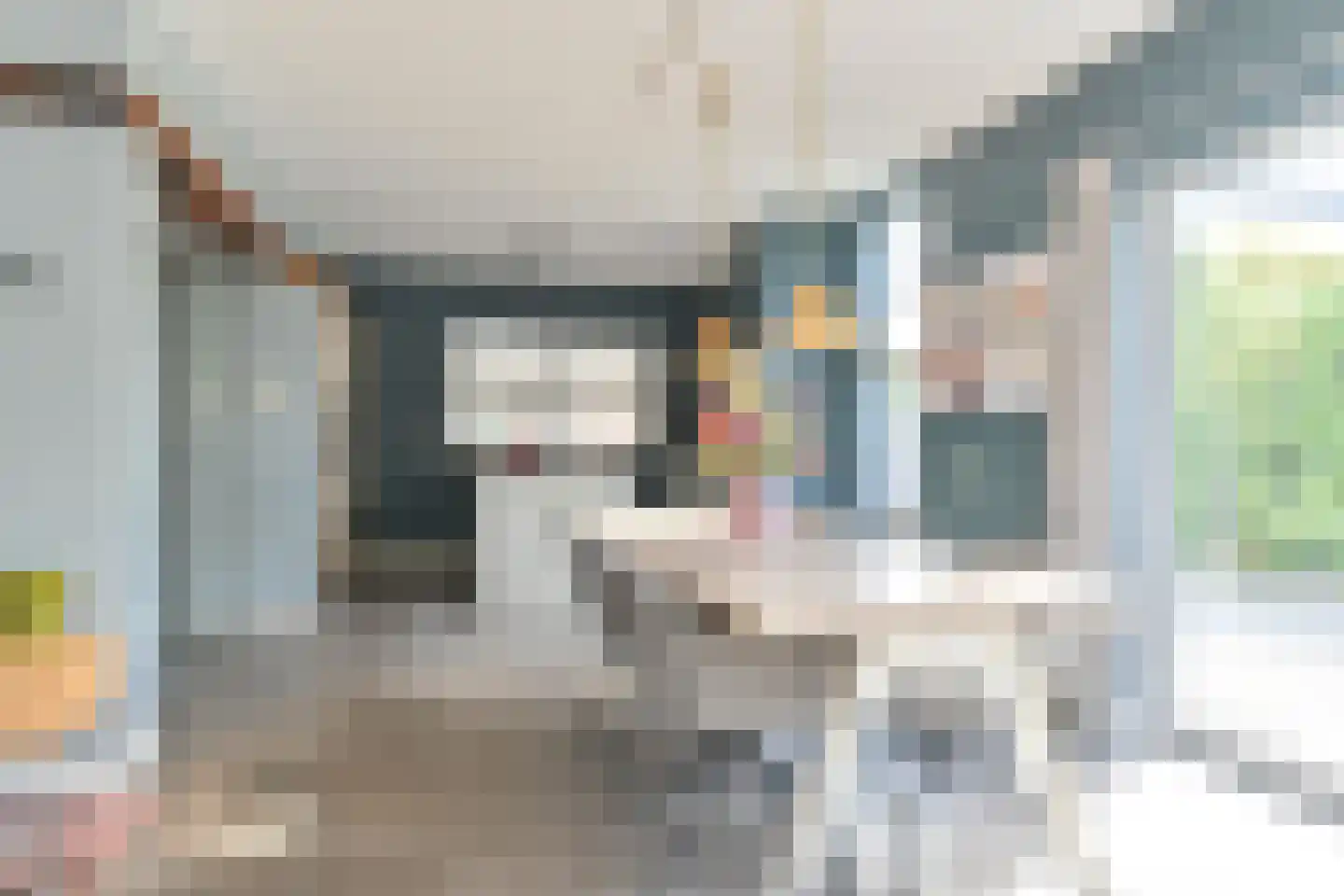 Laan van het Kwekebos 252 Emmen thumbnail 30