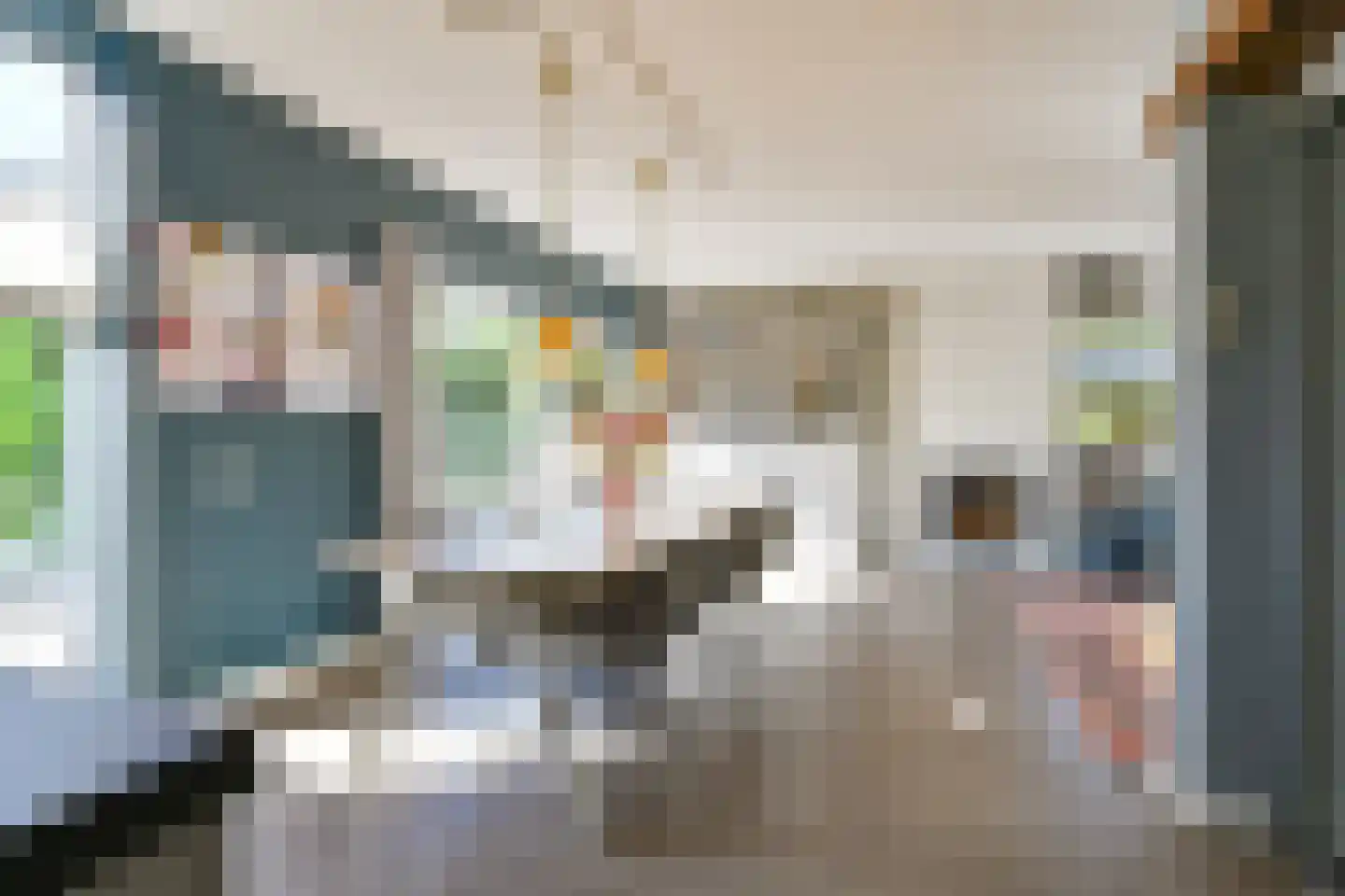 Laan van het Kwekebos 252 Emmen thumbnail 34