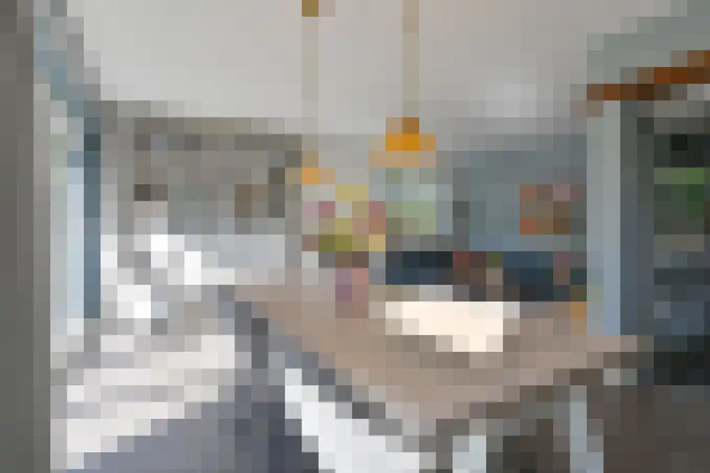 Laan van het Kwekebos 252 Emmen thumbnail 35