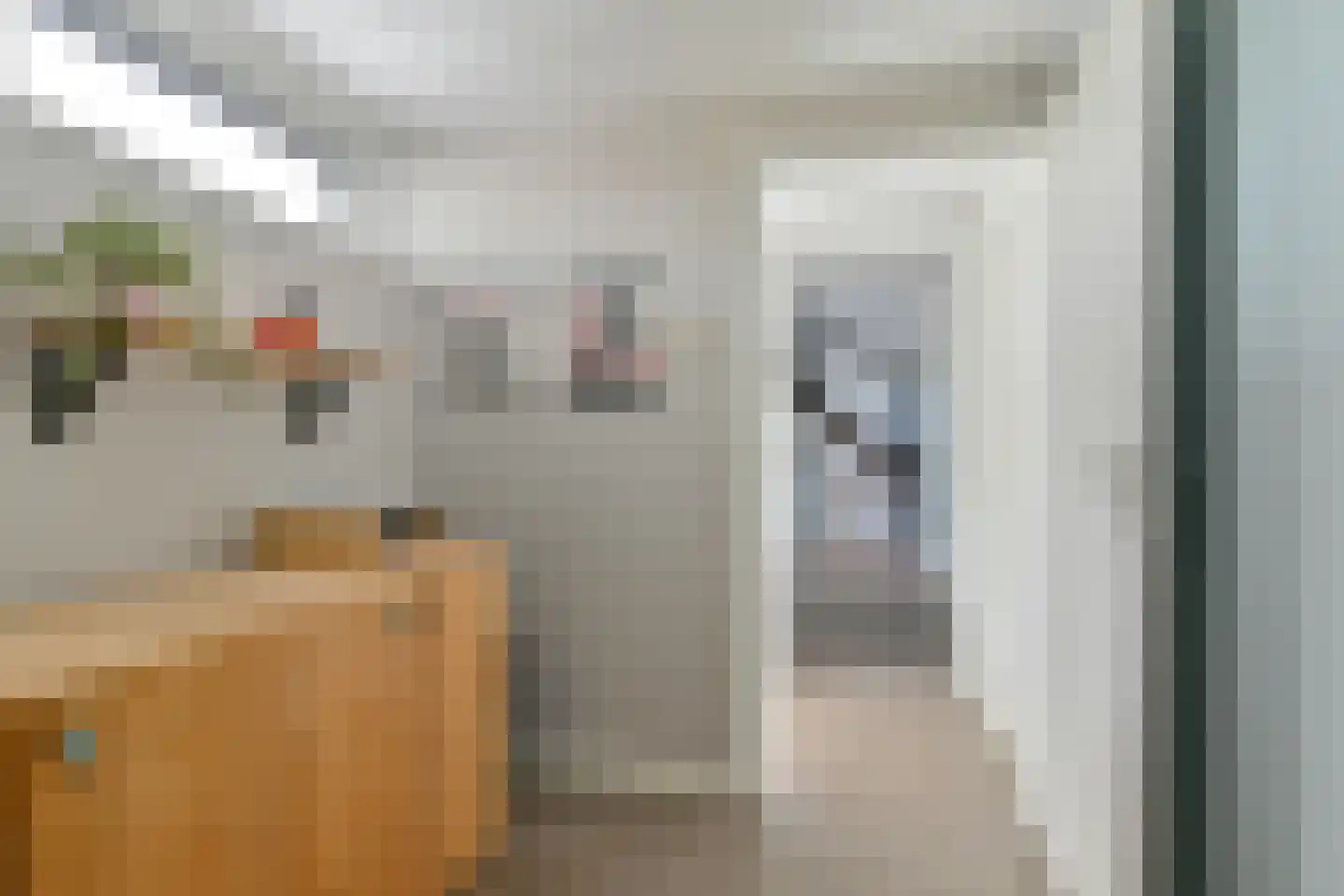 Laan van het Kwekebos 252 Emmen thumbnail 49
