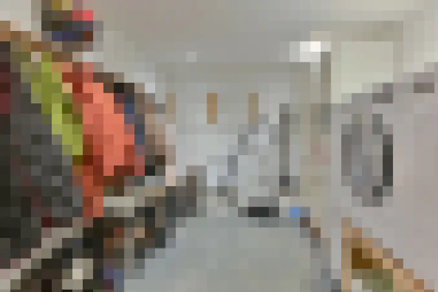 Laan van het Kwekebos 252 Emmen thumbnail 52