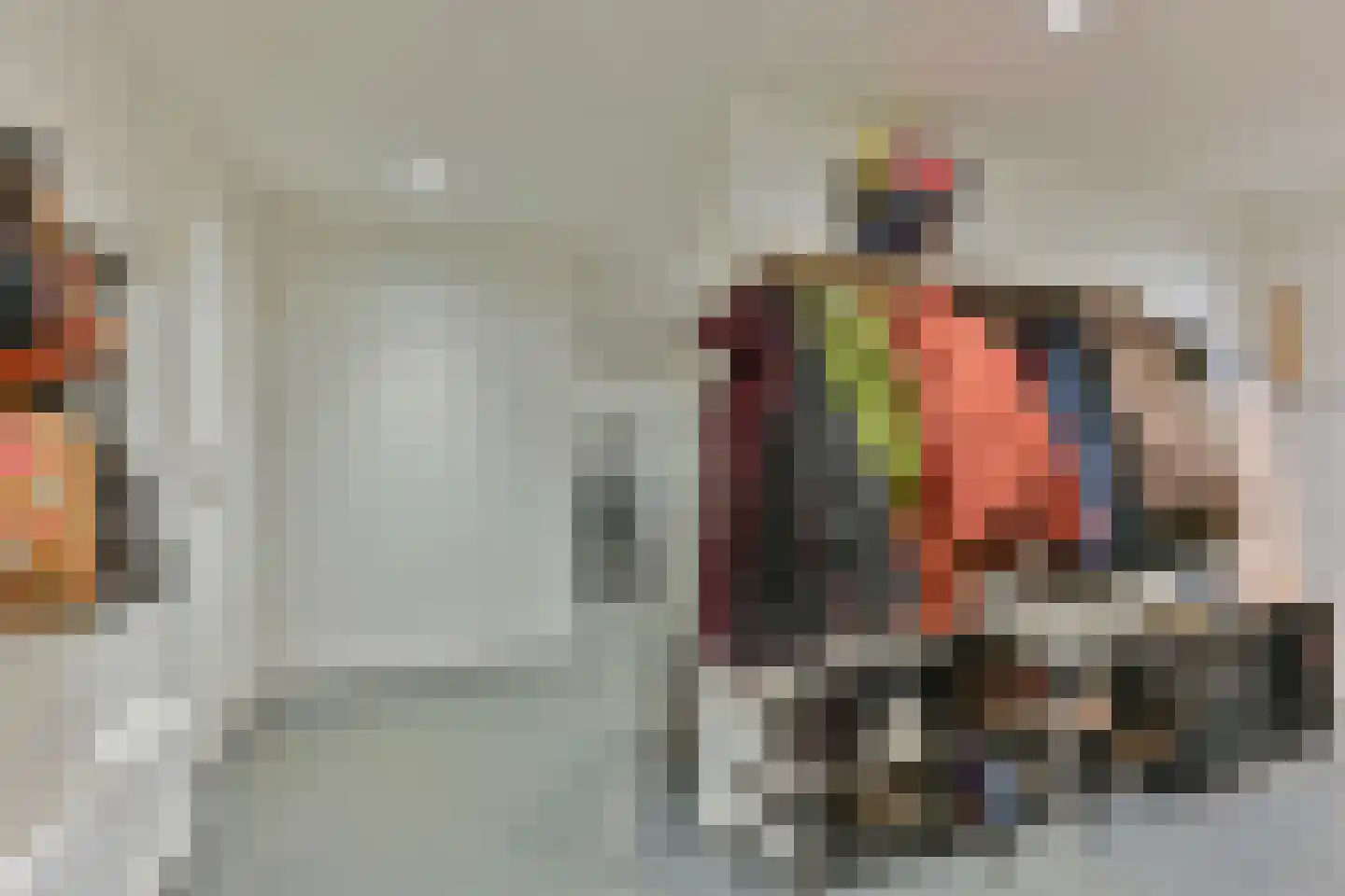 Laan van het Kwekebos 252 Emmen thumbnail 53