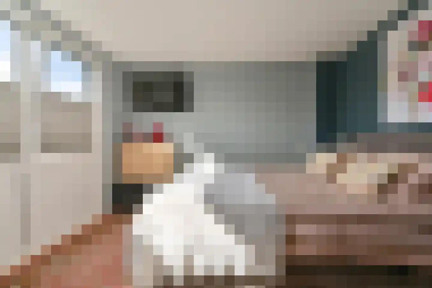 Laan van het Kwekebos 252 Emmen thumbnail 61