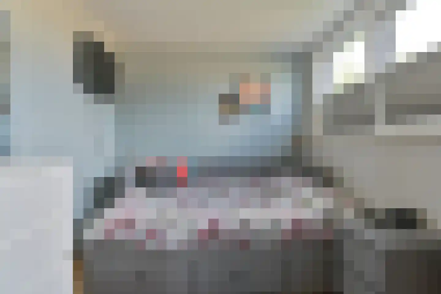 Laan van het Kwekebos 252 Emmen thumbnail 82