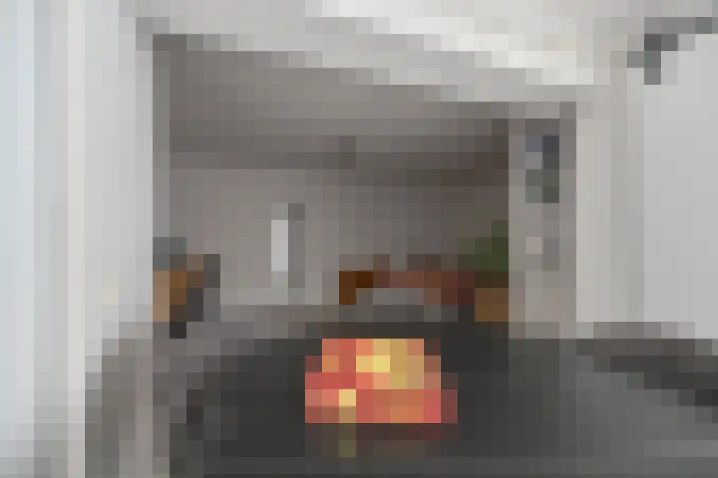 Laan van het Kwekebos 252 Emmen thumbnail 93