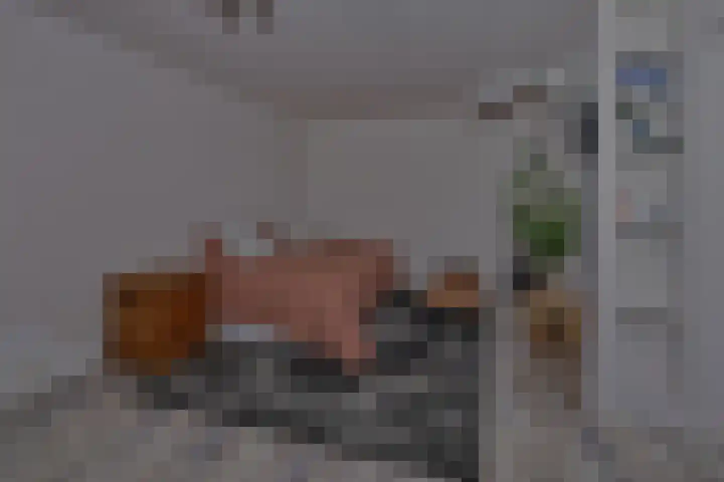 Laan van het Kwekebos 252 Emmen thumbnail 94