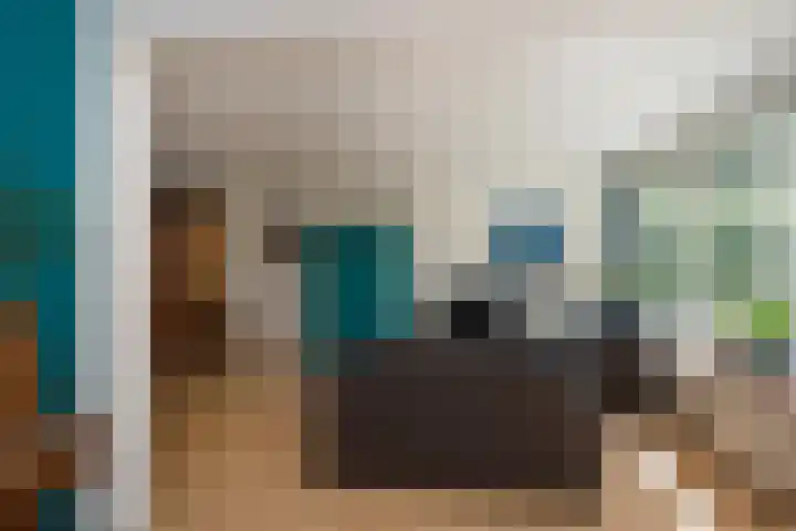 Laan van het Kwekebos 257 Emmen thumbnail 11