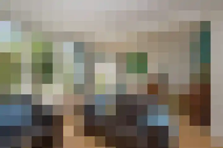 Laan van het Kwekebos 257 Emmen thumbnail 12