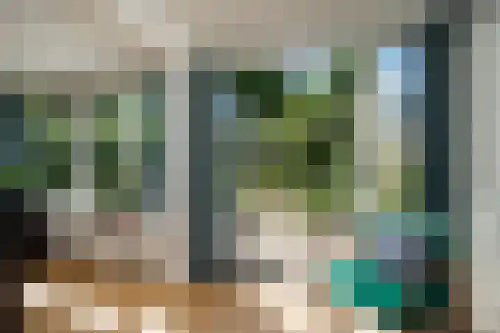 Laan van het Kwekebos 257 Emmen thumbnail 13