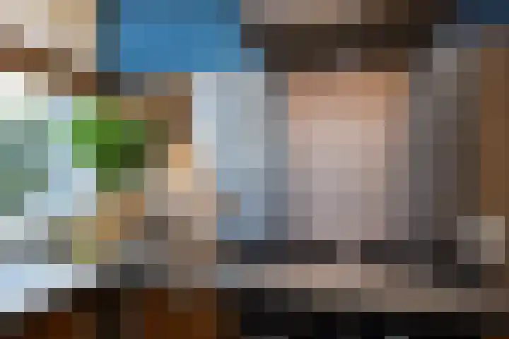 Laan van het Kwekebos 257 Emmen thumbnail 16