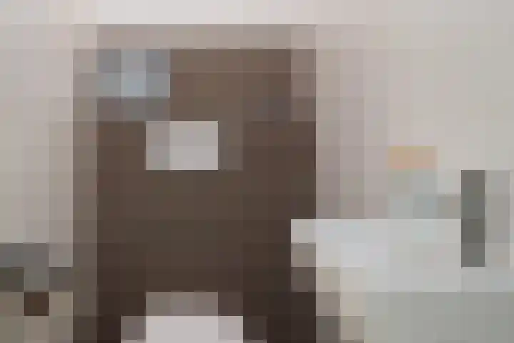 Laan van het Kwekebos 257 Emmen thumbnail 17