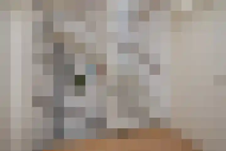 Laan van het Kwekebos 257 Emmen thumbnail 18