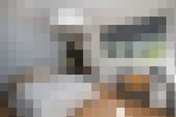 Laan van het Kwekebos 257 Emmen thumbnail 20
