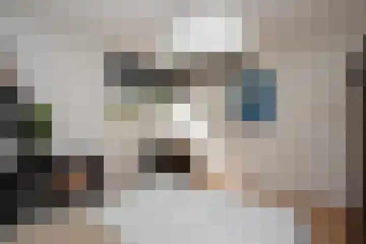 Laan van het Kwekebos 257 Emmen thumbnail 21