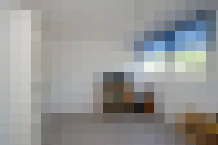Laan van het Kwekebos 257 Emmen thumbnail 23