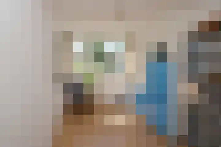 Laan van het Kwekebos 257 Emmen thumbnail 26