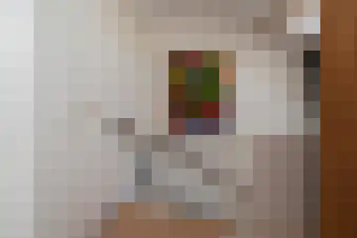 Laan van het Kwekebos 257 Emmen thumbnail 30