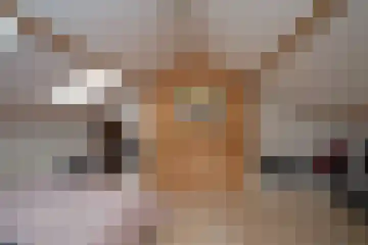 Laan van het Kwekebos 257 Emmen thumbnail 31
