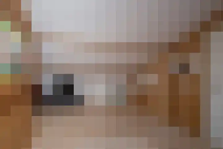 Laan van het Kwekebos 257 Emmen thumbnail 33
